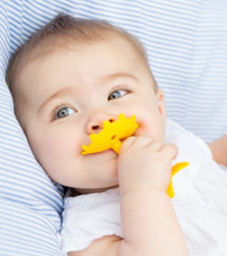 Innobaby Original Teethin Smart EZ Grip Star Teether and Sensory Toy for Babies and Toddlers. BPA Free Teether