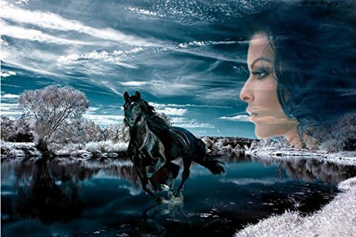 YTG Full Diamond Embroidery Needlework Diy Diamond Painting Mosaic Cross Stitch Woman and Dark Horse Hobbies &amp; Crafts(50X40)+Gift: mobile phone bracket