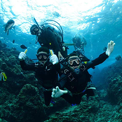 image for WACOOL Snorkeling Package Set for Adults, Anti-Fog Coated Glass Diving