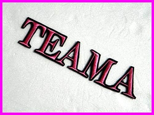 Amazon Co Jp Team A 刺繍 ワッペン Akb48 Akb Ske Nmb Shn Hkt 乃木坂 ホビー 通販