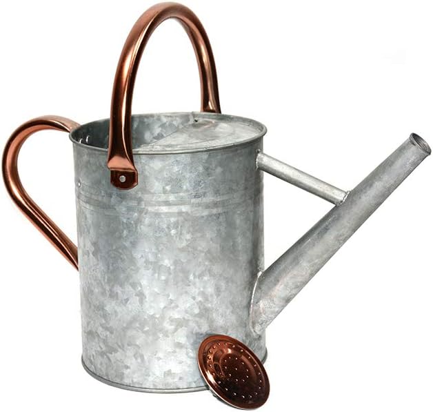 yourjoy Steel Watering Can Sliver Galvanized Steel Watering Can with Copper Accents, Removable Rosette-Diffuser, One-Gallon : Garden & Outdoor