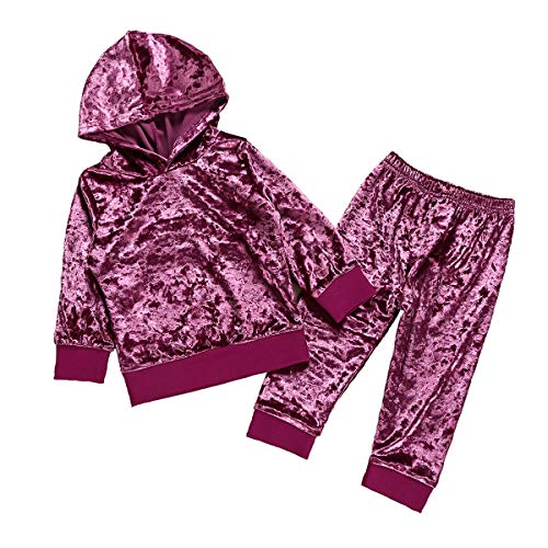 Girls Velvet Hoodies Pullover Hooded Tops Pants Fashion Outfits Set 1-6T (4-5T, Purple)