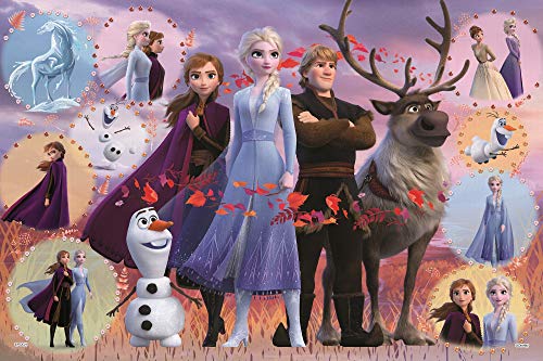 Disney Frozen II 1000ピース ジグソーパズル 1000 Piece Jigsaw Puzzle Disney Frozen 2 Collection (Frozen