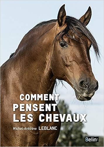 Comment Pensent Les Chevaux Amazonfr Michel Antoine - 