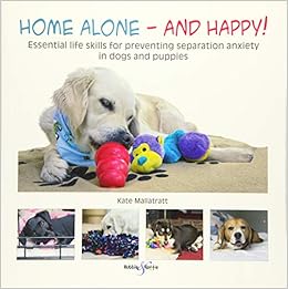 dog separation anxiety toys