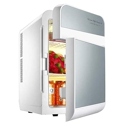 Amazon.es: Mini refrigerador eléctrico de 20L Caja fría de 12V ...