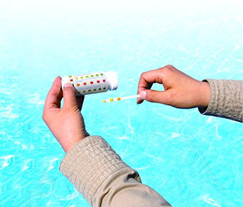 Bestway Pool PH Teststreifen 3-in-1 – Bild 3