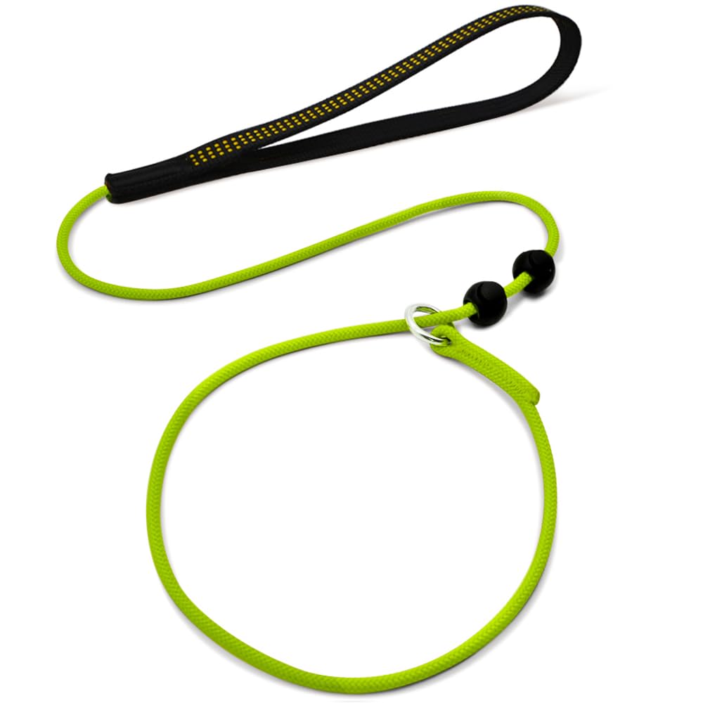 Photo 1 of BeauGo Slip Leads for Dogs,Top Speed Training Dog Leash,2-in-1 Slip Collar Dog Training Lead & Collar,6ft Thin Slip Lead,sturdyand Durable, Leash Suitable for Small, Medium, and Large Dogs(Green)
