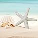 WXJ13 Starfish Decor Pencil Finger Starfish for Wedding Decor, 21 Pieces