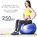 Lintelek Exercise Ball with Quick Foot Pump, Professional Grade Anti Burst Stability Ball for Yoga, Fitness, Balance, Core Strength, Work Chairs, Gym, Home 65cm