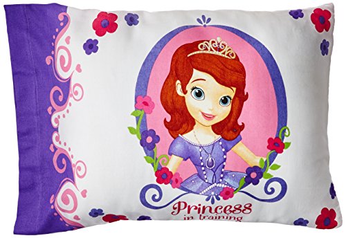 Sofia The First Room Decor