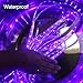 Super Waterproof 12V Black Lights Strip LED Blacklight Fixture, AMARS 5M/16.4FT 300 LED Purple Lighting for Boat, Outdoor, Black Lights Party, Fluorescent (Strip Only)