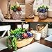 Creative Side Artificial Succulent Plants - 11 Soft Realistic Lifelike - Colorful Fake Succulent Plants Arrangement, Mini Faux Succulents, Large Succulents Unpotted Plant For Planters And Indoor Decor