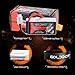 GOLDBAT 1300mAh 4S 100C 14.8V Softcase LiPo Battery Pack with XT60 Plug for Heli Airplane Drone FPV Racing (2 Packs)