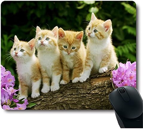 Four Cute Baby Cat Kitten Stand with Flower Customized Mouse Pad