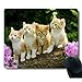 Four Cute Baby Cat Kitten Stand with Flower Customized Mouse Pad