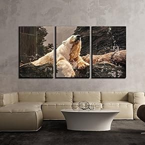3 Piece Canvas Wall Art - Polar Bear on The Rock - Modern Home Art Stretched and Framed Ready to Hang - 16"x24"x3 Panels