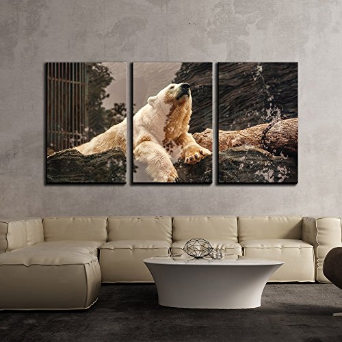 Bear Wall Art Kritters in the Mailbox Bear Wall Art Pieces