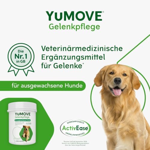 TESTSIEGER Gelenktabletten Hund 2–7 Jahre – 300 Tabletten ActivEase
