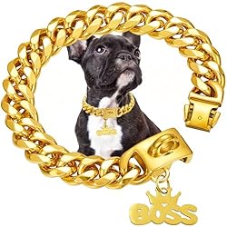 Heavy Duty Gold Dog Collar Chain,Solid Stainless