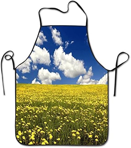 White aprons for women cheap Flower Sky Sun Beaty Kitchen Woman Aprons Aprons Bulk Adultsimple Bib Aprons