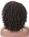 Kalyss Brown Afro Kinky Curly Wigs for Women Premium Synthetic Hair Wig Curved Side Parted Natural Looking Hair Wigs for Women