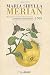 Maria Sibylla Merian: Metamorphosis Insectorum Surinamensium by Maria Sibylla Merian