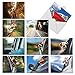 The Best Card Company - 10 Blank Dog Cards Assorted (4 x 5.12 Inch) - Adorable Boxed Animal Note Cards for All Occasions - Doggie in the Window M6481OCB