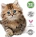 NatulabUSA - Hemp Oil For Pets - Cats & Dogs – Fast Results - Pet Anxiety & Stress Relief Serum - Pet Arthritis & Joint Health – APPLY TO FOOD - Separation Anxiety Relief - Pure Hemp Seed Oil