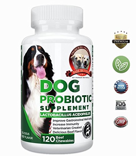 Bark Brothers Probiotic Supplement for Dogs For Improved Digestion & Better Health. Contains Premium Lactobacillus Acidophilus, Glucosamine, Chondroitin, Lipase. 120 Delicious Liver & Bacon Chewables