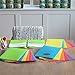 Youngever 6 Pack Heavy Duty Plastic Two Pocket Folders, Rainbow Colors, 2 Pocket Folders