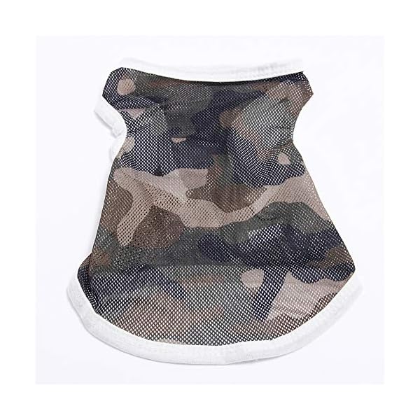 WFWUK Cappotto per Cani Cappottino Cane Estate Estate Vestiti per Cani Vestiti del Gattino Vestiti per Animali Domestici… WFWUK WFWUK Cappotto per Cani Cappottino Cane Estate Estate Vestiti per Cani Vestiti del Gattino Vestiti per Animali Domestici…