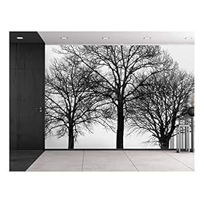Black Silhouette of Trees with Multiple Branches - Wall Mural, Removable Sticker, Home Decor - 66x96 inches