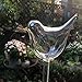 Creative Bird Shaped Hand Blown Transparent Glass Flower Automatic Waterer Plant Self Watering System for Garden House Outdoor Small Plant Potted Plant Water Bottle Waterer Container (Mini Bird)thumb 3