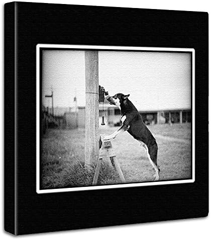 犬 動物 アートパネル 100cm Xlサイズ 日本製 ポスター おしゃれ インテリア 模様替え リビング 内装 モノクロ 写真 風景 ファブリックパネル Pho 0043 Xl