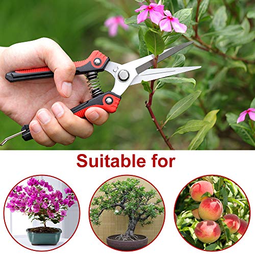 WYF 8.1″Gardening Hand Pruner Pruning Shear with Straight Stainless Steel Blades,Ultra Sharp Multi-Purpose Scissors for Garden Harvesting Fruits & Vegetables,Trimming Flowers and Plants (Red) - Thumbnail 7