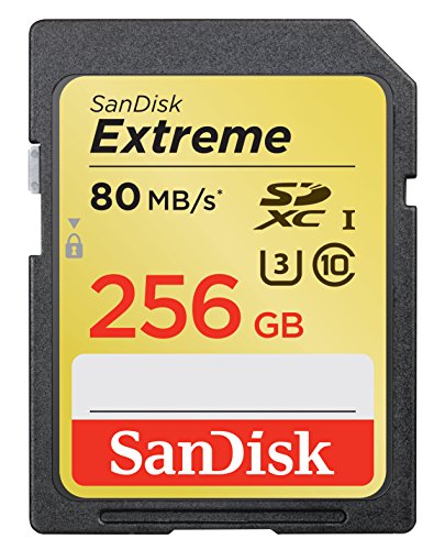 SanDisk Extreme 256GB U3/UHS-I SDXC with 4K Ultra HD, Up to 80MB/s Read;60MB/s Write- SDSDXN-256G-G46[Older Version]