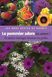 Le  pommier adore les asters ! et autres mariages heureux au jardin