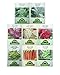 Premium Winter Vegetable Seeds Collection.Certified Organic Non-GMO Heirloom Seeds USDA Lab Tested. Broccoli, Beet, Carrot, Cauliflower, Fava Bean, Kale, Pea, Radish. Gardener & Chef Favorites!