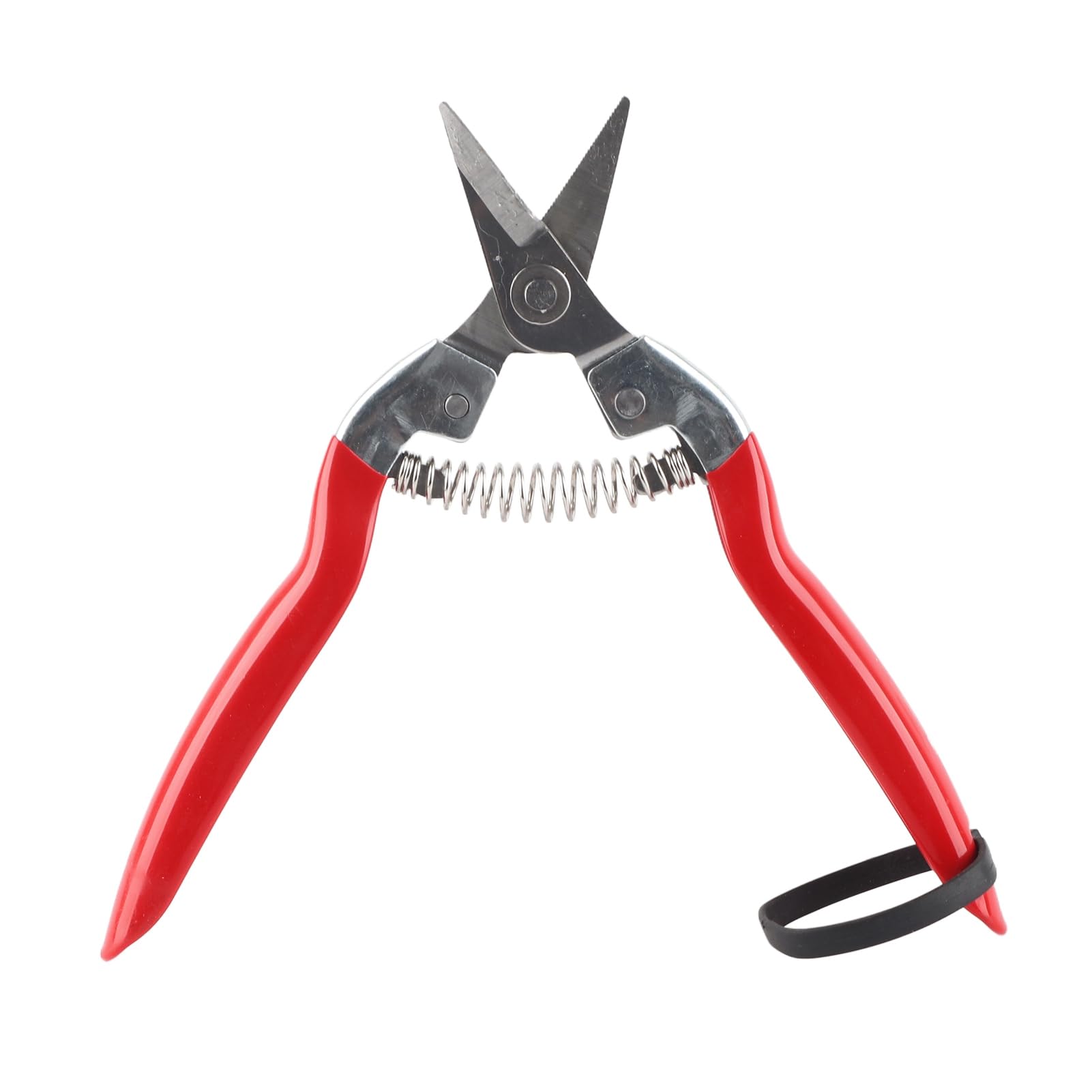 Garden Rose Pruning Shears, Professional Hand Pruners Curved Blade Stainless Steel for Flower Arranging Plant Trimming Fruit Harvesting Gardening Tools