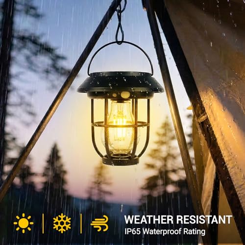 Icnice 8 Pack Solar Pathway Lights with Motion Sensor, 300LM Waterproof Outdoor Solar Lights, 3 Modes Landscape Lighting for Garden Backyard Path Driveway, Wall Mount and Hanging (Warm)