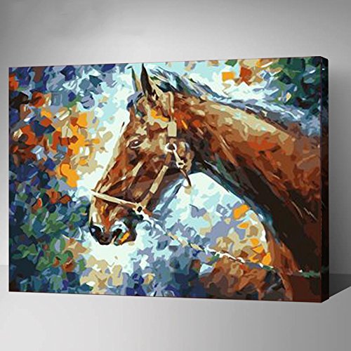 Horse Paint By Number Kits • Paint By Number For Adults