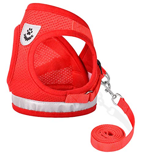 Cat Harnesses and Puppy Harness with Leashes Set, Escape Proof Cat Harness, Adjustable
