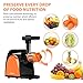 Juicer Slow Masticating Juicer Extractor,Cold Press Juicer Machine, Slow Juicer Extractor with Quiet Motor & Reverse Function,Easy to Clean,Higher Nutrient Fruit and Vegetable juice