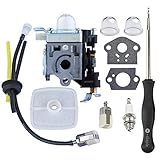Hipa PB250 Carburetor for Echo PB250LN PB-250 ES250 Leaf Blower RB-K106 with Air Filter Carb Adjustment Tool Fuel Line