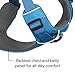 Ruffwear, Front Range Dog Harness, Reflective Soft Padded Everyday Harness with Dual Leash Clips, Adjustable and Lightweight Fit for Training or Walking for All Dogs, Blue Dusk, Medium