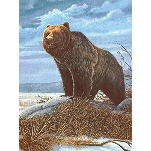 Bear Paint by Number Kritters in the Mailbox Bear Paint by Number Kits