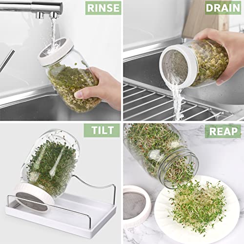 Complete Sprouting Jar Kit 2 Wide Mouth Mason Jars, 316 Screen Sprout