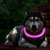 LED Dog Necklace Collar,USB Rechargeable Safety Waterproof Light up Adjustable Flashing Pet Neck Loop by fashion&cool