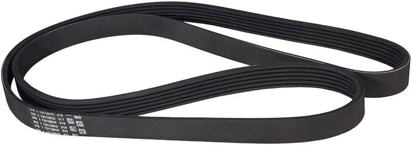 Contitech 6PK1600 V-Ribbed Belts, BLACK - Image 4